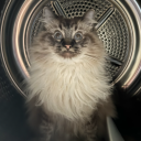 Avatar streamera jaczup na StreamPay